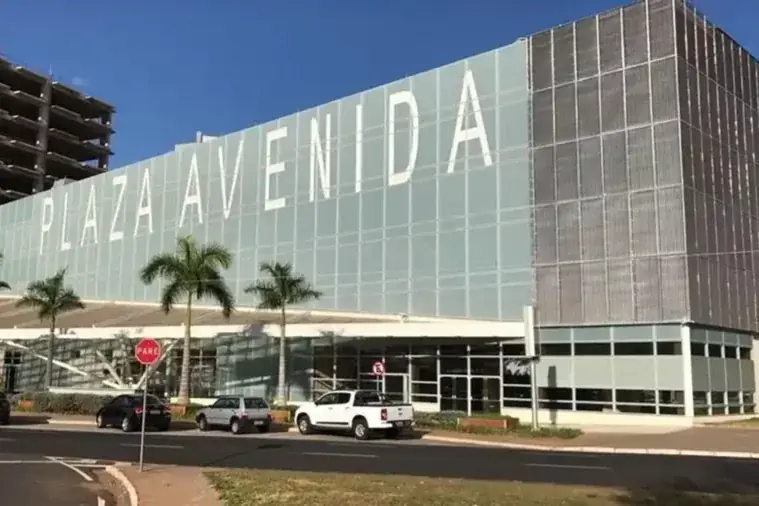 Plaza Avenida Shopping